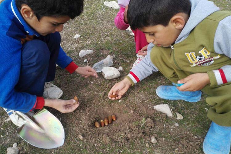 کاشت بلوط توسط دانش‌آموزان طرهانی + عکس