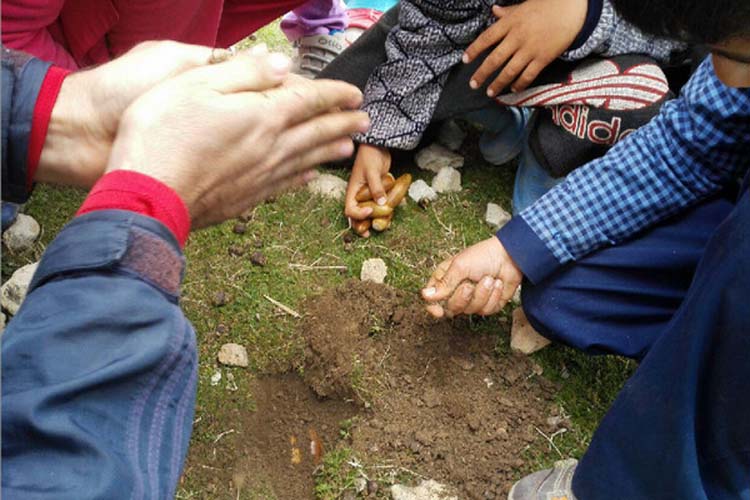 کاشت بلوط توسط دانش‌آموزان طرهانی + عکس