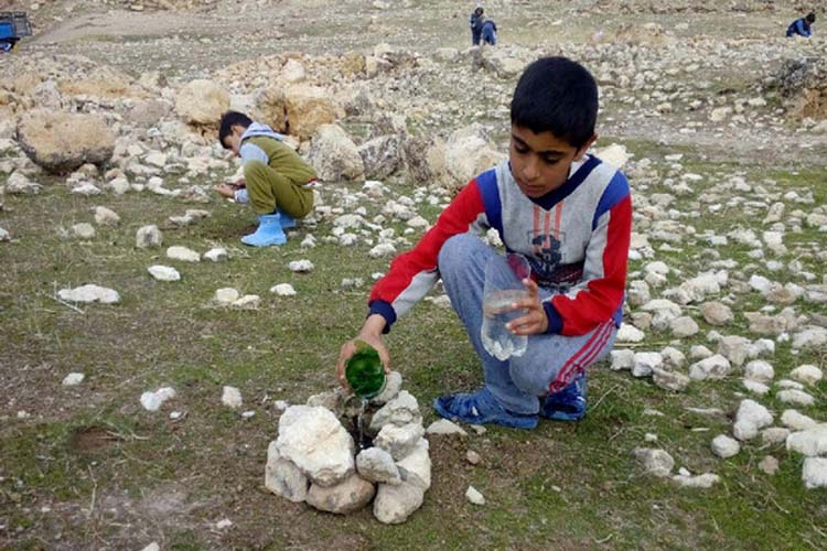 کاشت بلوط توسط دانش‌آموزان طرهانی + عکس