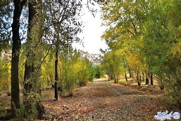 خلیل‌آباد با قدمتی چند هزار ساله میزبان مسافران نوروزی