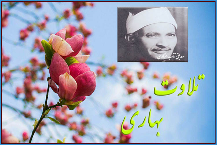 عید نوروز///تلاوت سوره مبارکه شوری با صوت «تائب منشاوی »