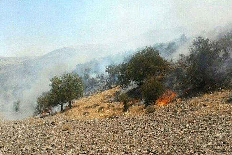 مرثیه‌ای برای منابع طبیعی که از بین رفت/ هنوز هم شعله‌های آتش در مهد تمدن ایران زبانه می‌کشد