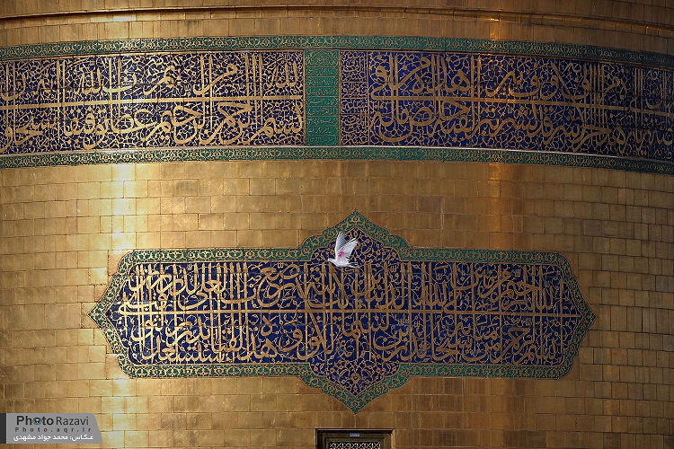 ولایتعهدی امام رضا(ع)؛ نمونه‌ای از فلسفه سیاسی اسلام/تنوع رفتار سیاسی ائمه اطهار(ع) در برخورد با دشمنان متفاوت