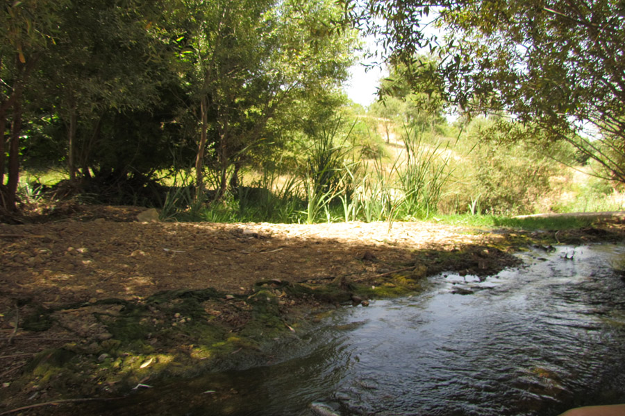 نگاهی به طبیعت روستای «سرآستان» خرم‌آباد
