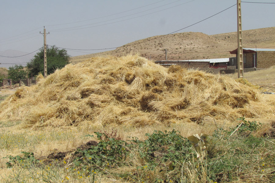 نگاهی به طبیعت روستای «سرآستان» خرم‌آباد