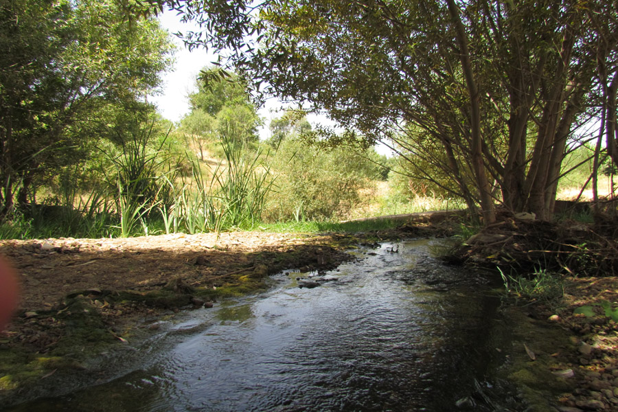 نگاهی به طبیعت روستای «سرآستان» خرم‌آباد