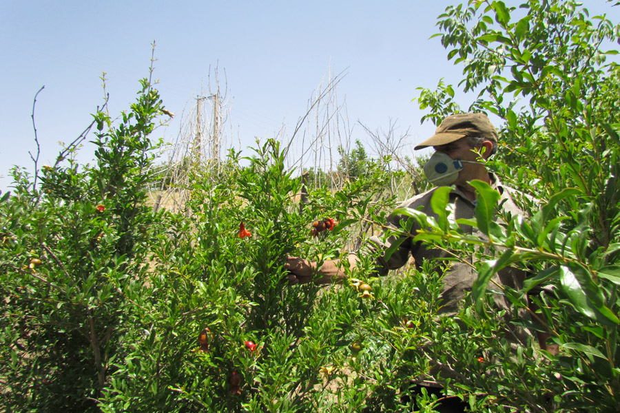 نگاهی به طبیعت روستای «سرآستان» خرم‌آباد