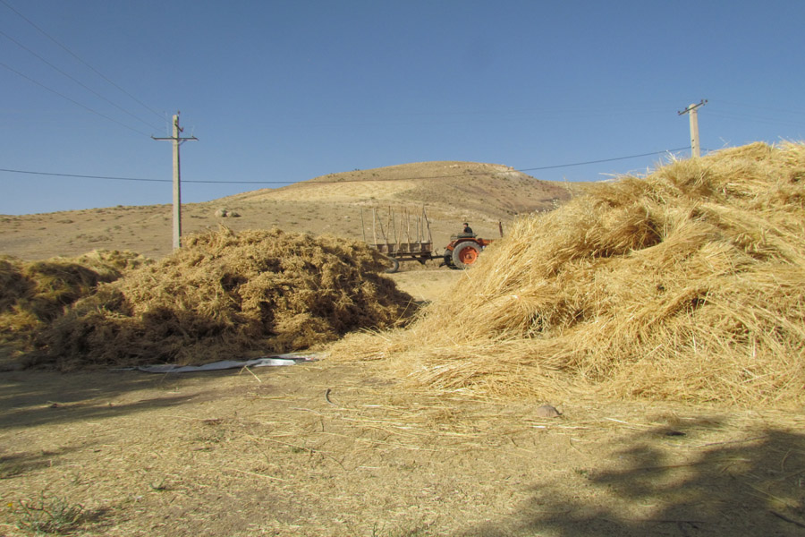 نگاهی به طبیعت روستای «سرآستان» خرم‌آباد