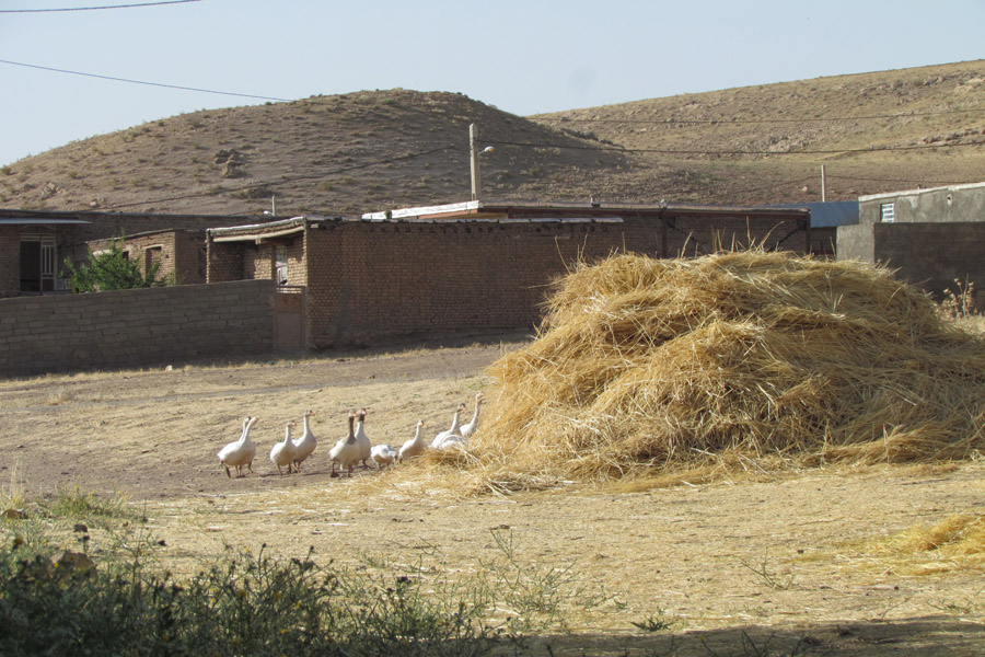 نگاهی به طبیعت روستای «سرآستان» خرم‌آباد