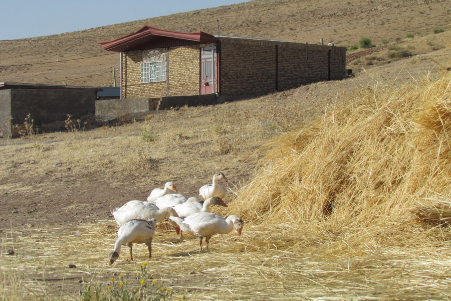 نگاهی به طبیعت روستای «سرآستان» خرم‌آباد