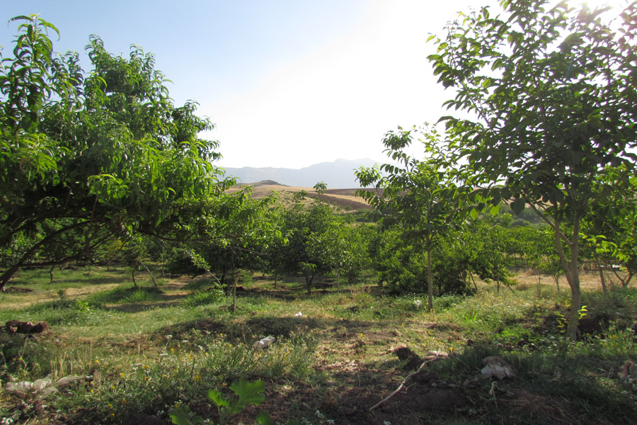 نگاهی به طبیعت روستای «سرآستان» خرم‌آباد