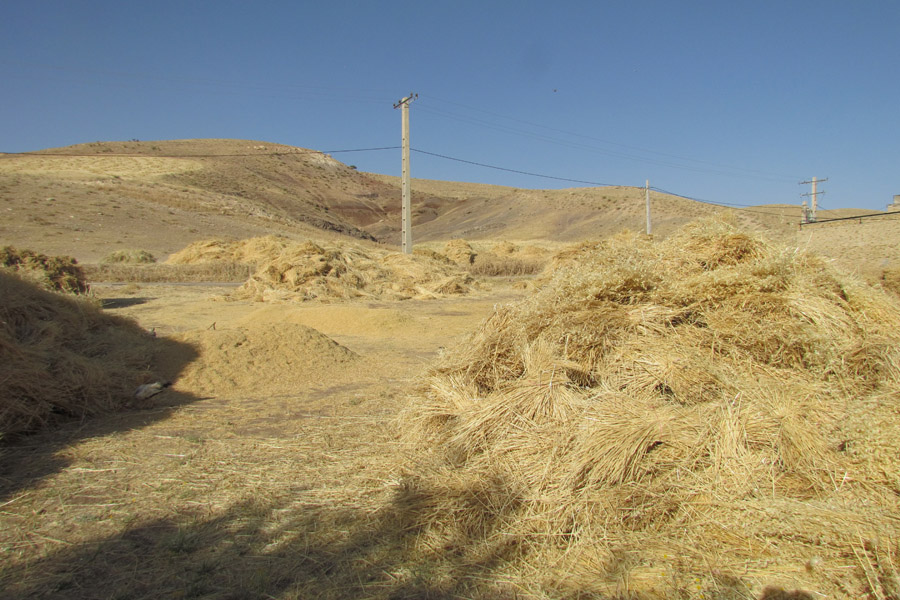 نگاهی به طبیعت روستای «سرآستان» خرم‌آباد