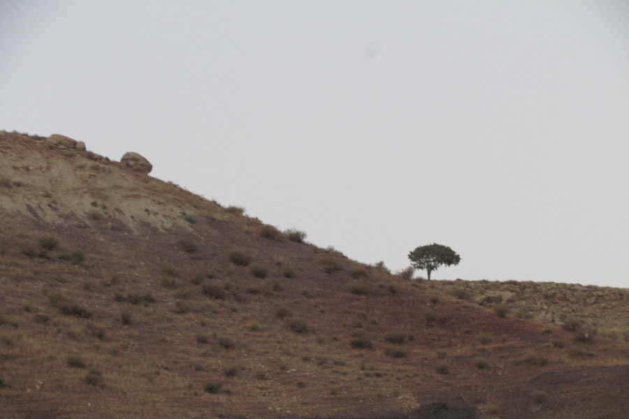 نگاهی به طبیعت روستای «سرآستان» خرم‌آباد
