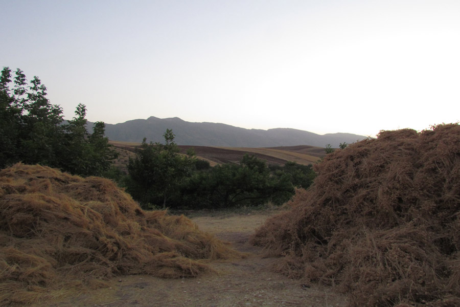 نگاهی به طبیعت روستای «سرآستان» خرم‌آباد