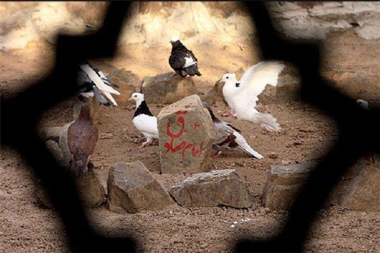 طوفان کینه و نسیم غربت بقیع