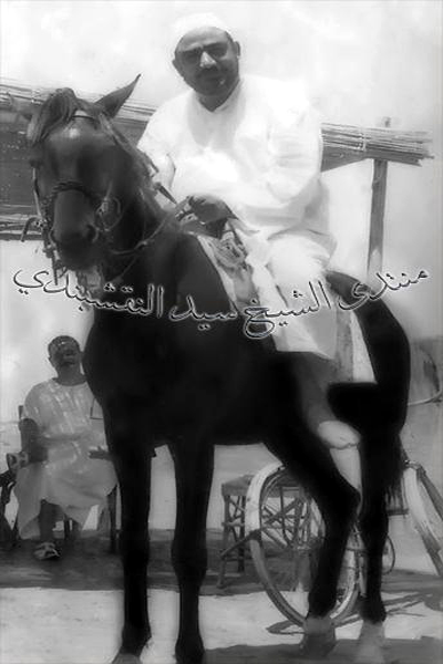 سید نقشبندی