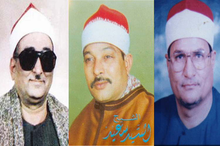 حصان، سید سعید، طنطاوی