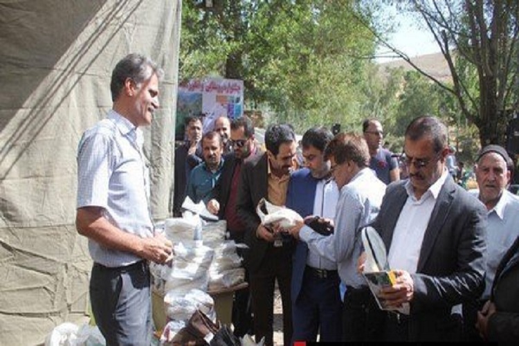 جشنواره روستایی و انگور در خمین برگزار شد