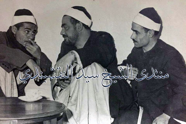 سید نقشبندی سید نقشبندی