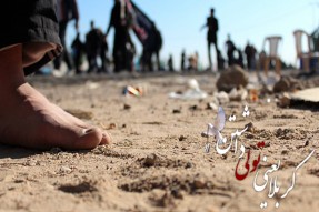 پیاده‌روی زائران اربعین حسینی به سمت شاه قاسم(ع) گوشه