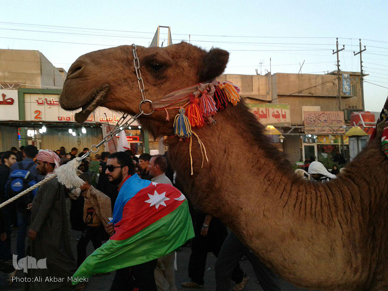 نمايش نمادين اسرای كربلا در نجف اشرف