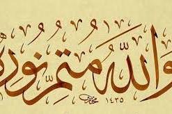 رونمایی از کتاب اربعینی «والله متم نوره» در کربلای معلا