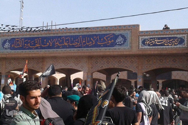 پخش صلوات خاصه امام رضا(ع) در مسیر نجف به کربلا
