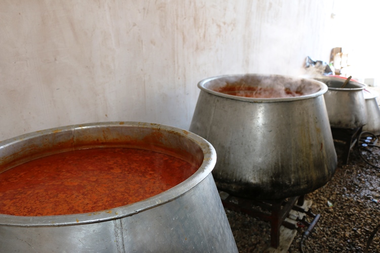 مراسم عزاداری اربعین حسینی در روستاهای سلماس