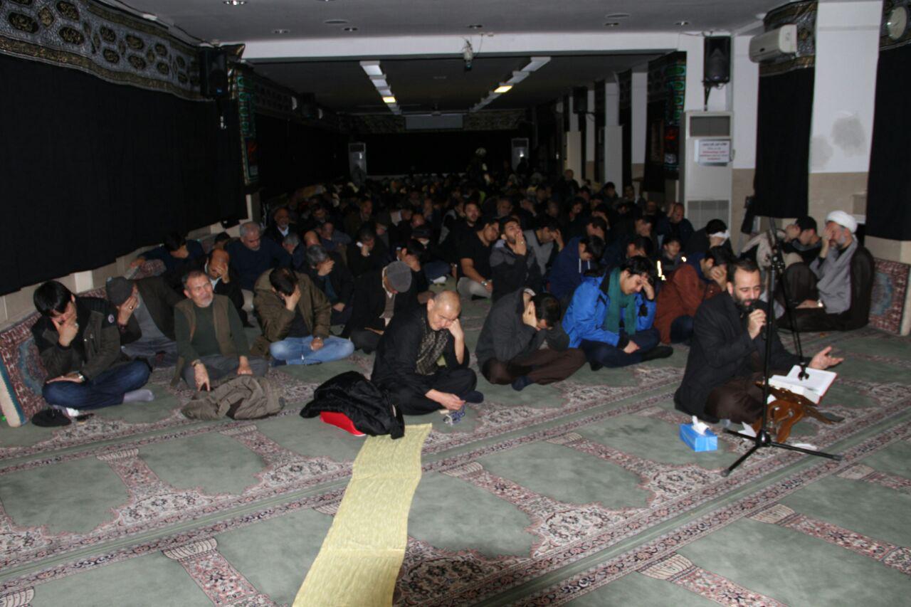 گلچینی از تصاویر اربعین در کشورها