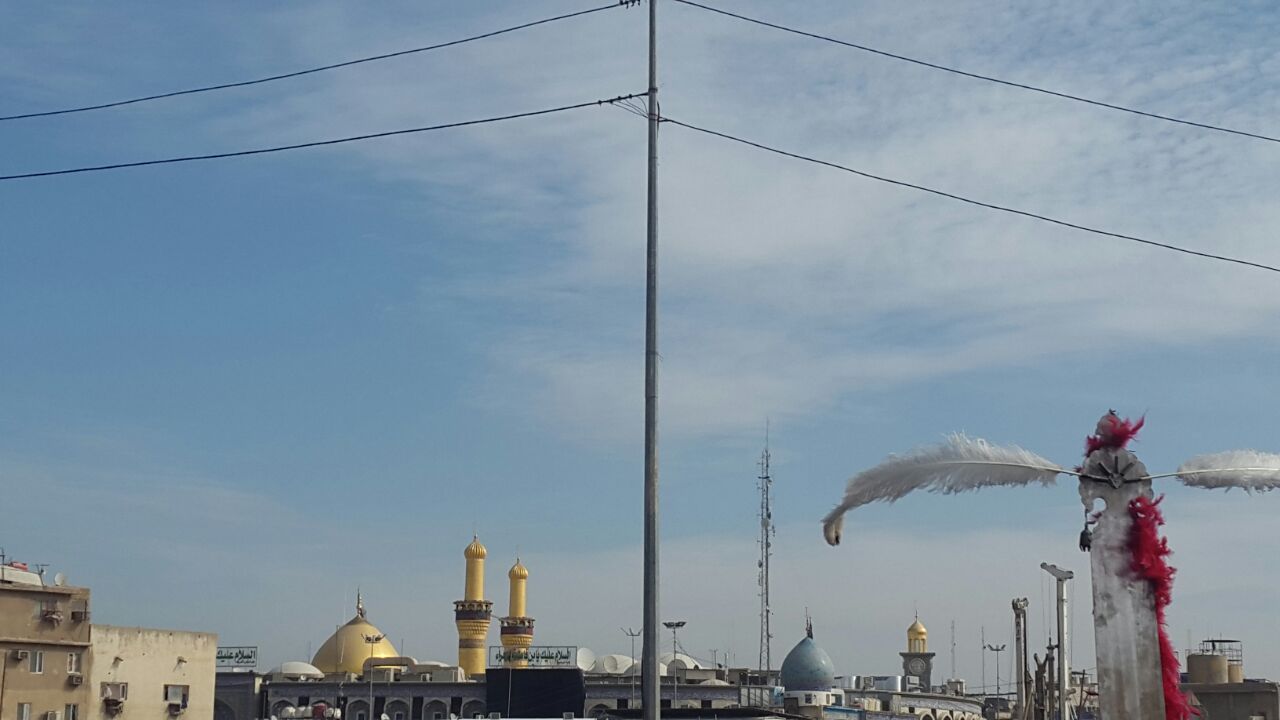 گزارشی از 6 گوشه جهان
