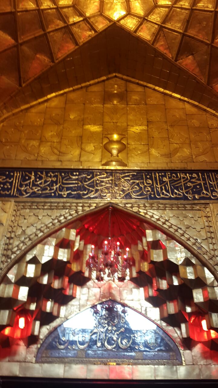 گزارشی از 6 گوشه جهان
