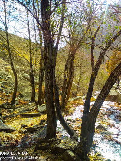 پاییز