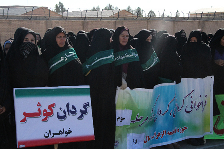 گرده