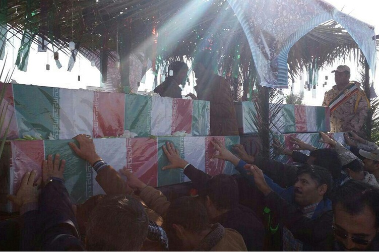بازگشت عاشقانه 10 پرستوی گمنام به سیستان وبلوچستان + عکس
