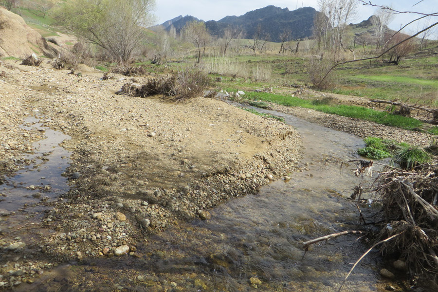 نگاهی به طبیعت بهاری روستای سرآستان خرم‌آباد
