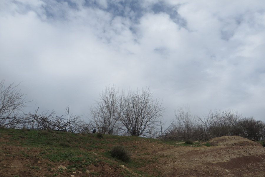 نگاهی به طبیعت بهاری روستای سرآستان خرم‌آباد