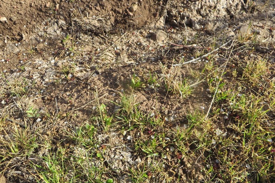 نگاهی به طبیعت بهاری روستای سرآستان خرم‌آباد