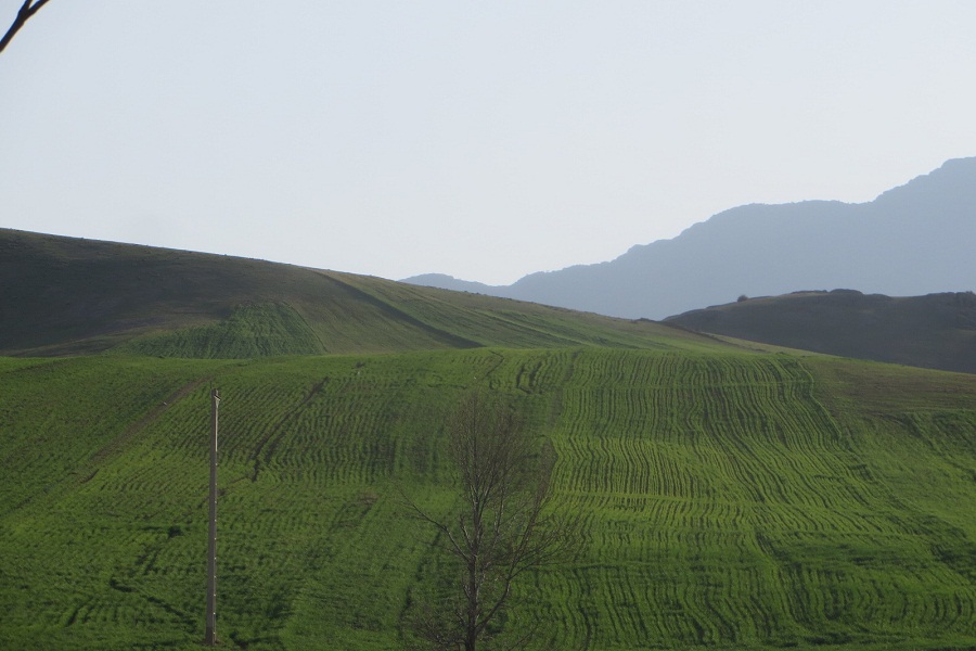 نگاهی به طبیعت بهاری روستای سرآستان خرم‌آباد