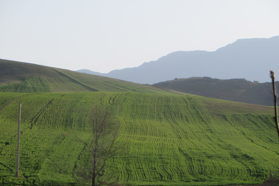 نگاهی به طبیعت بهاری روستای سرآستان خرم‌آباد