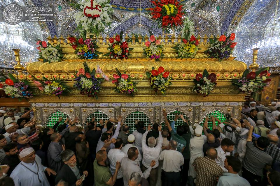 تصاویری از ضریح امام علی(ع) در شب ولادت