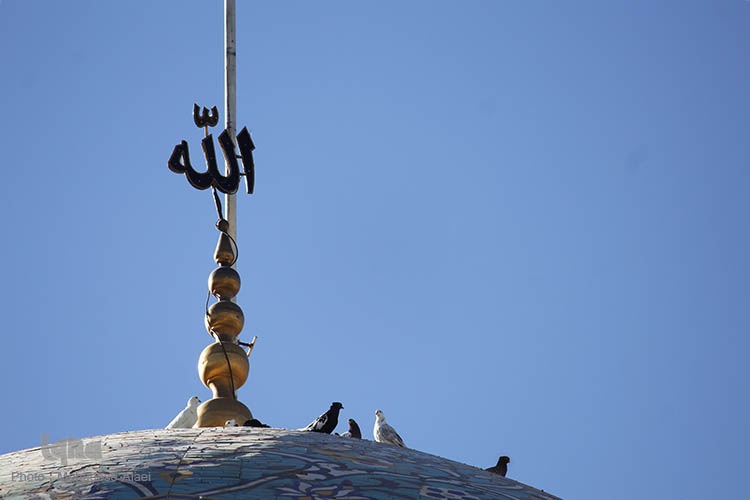 امامزاده شاهرضا