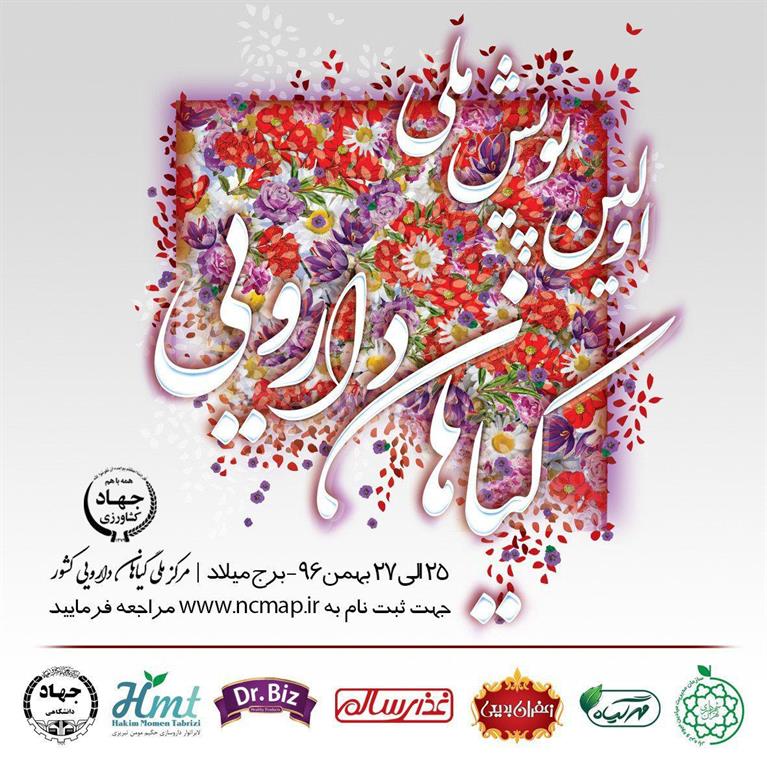 اولین پویش ملی گیاهان دارویی برگزار میشود اولین پویش ملی گیاهان دارویی برگزار میشود