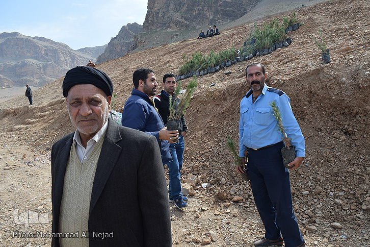 دیدار کتابداران