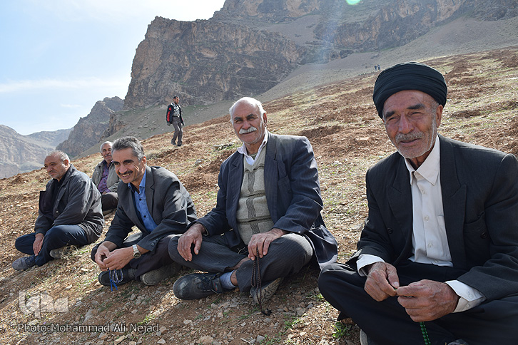 دیدار کتابداران