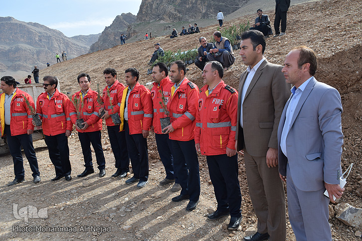 دیدار کتابداران