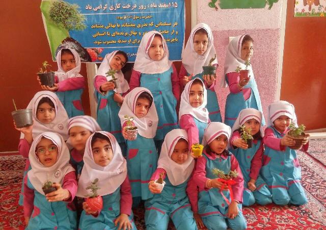 کاشت درخت توسط قرآن آموزان موسسه معراج النبی یزد