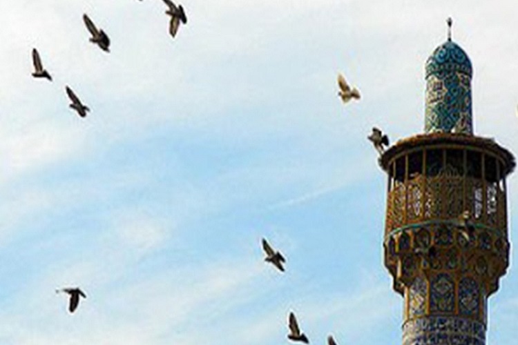 آرزوی یک موذن همدانی؛ گفتن اذان در صحن امام حسین(ع) آرزوی یک موذن همدانی؛ گفتن اذان در صحن امام حسین(ع)