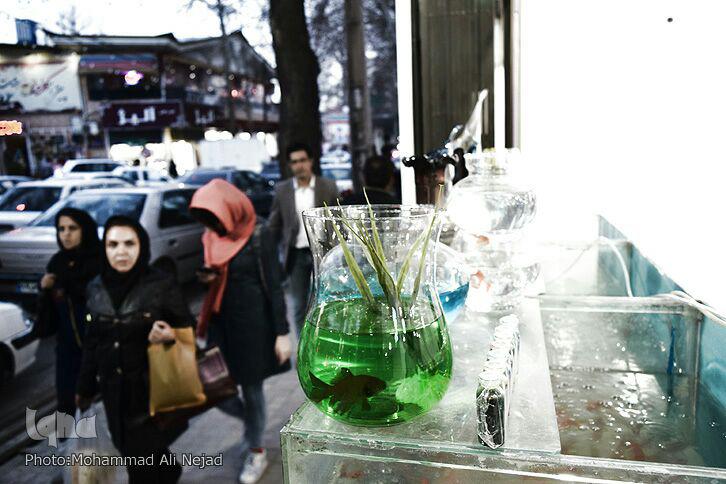 گزارش تصویری نوروز