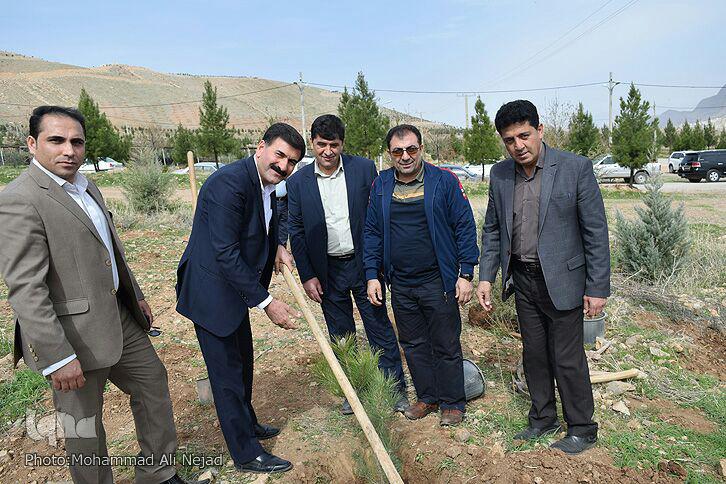 گزارش تصویری غرس درخت در بام لرستان