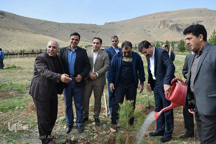 گزارش تصویری غرس درخت در بام لرستان